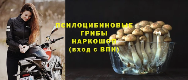 apvp Алексин
