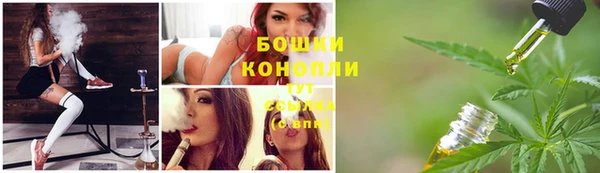 хмурый Пересвет