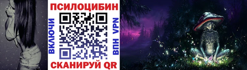 Псилоцибиновые грибы Psilocybe  Донской 